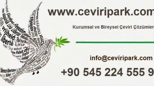 нотариальный переводчик в Стамбуле, нотариальный перевод Стамбул, услуги переводчика в Стамбуле смотреть онлайн