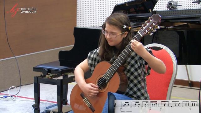 Anton Bashota: Coprnice - Klementina Lisak, gitara / Bistrički ZVUKOLIK 2014. смотреть онлайн