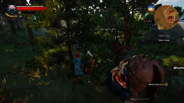 Tango Plays Witcher 3 The Wild Hunter Ep. 21 смотреть онлайн