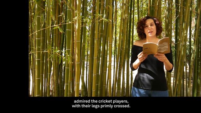 поэт Олалла Кастро смотреть онлайн