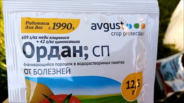 ОГУРЦЫ. ПРОФИЛАКТИЧЕСКАЯ ОБРАБОТКА В ИЮНЕ ОТ ЗАБОЛЕВАНИЙ НА ОГУРЦАХ. ПЕРОНОСПОРОЗ смотреть онлайн