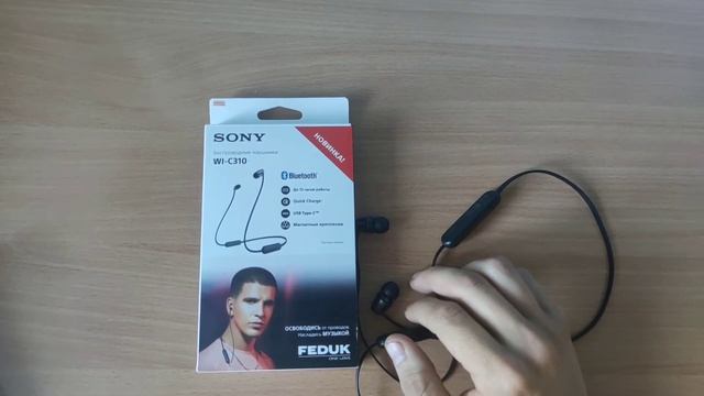 Обзор Sony WI-C310