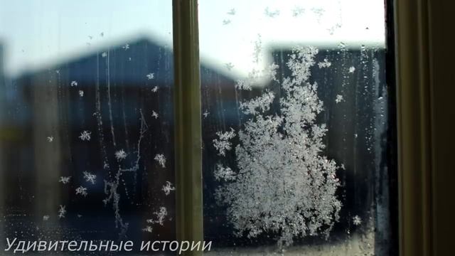 От безысходности, Павел устроился санитаром в морг. Но когда он увидел там бывшую невесту... смотреть онлайн