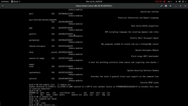 Установка Fedora 26 Boltron Server [Первый модульный прототип] с помощью Docker смотреть онлайн