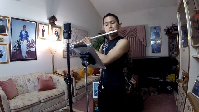 Lindsey Stirling - The Arena (Flute Cover By Vincent Gatdula)