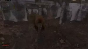 Stalker-Oblivion-Lost-remake-3.1