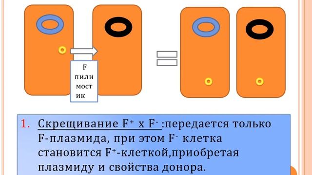 Лекция№5Генетика бактерий new смотреть онлайн