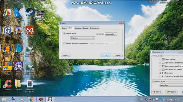 Как записать видео с экрана компьютера со звуком Faststone Capture 9.0 смотреть онлайн