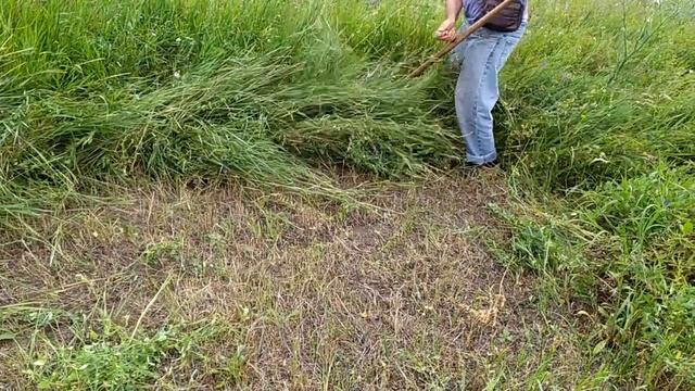 Как правильно косить дедовской косой? смотреть онлайн