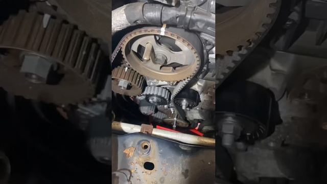 Ford Fiesta 1.6 tdci timing belt replacement смотреть онлайн