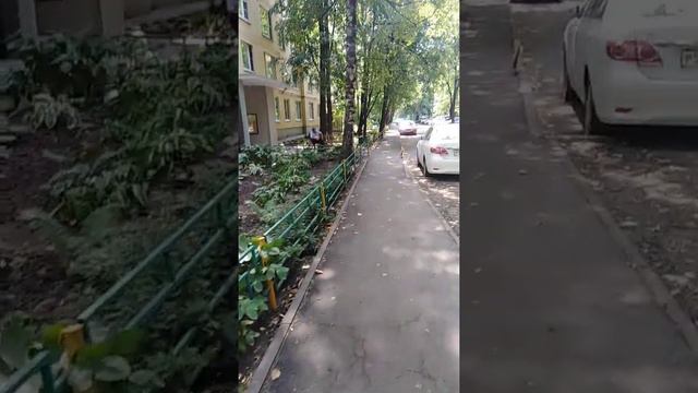 7 августа 2022 г говорят, есть такие соревнования за лучший цветник во дворах смотреть онлайн
