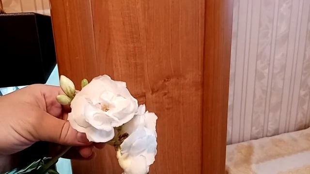 Белый олеандр и как он этого достиг. смотреть онлайн