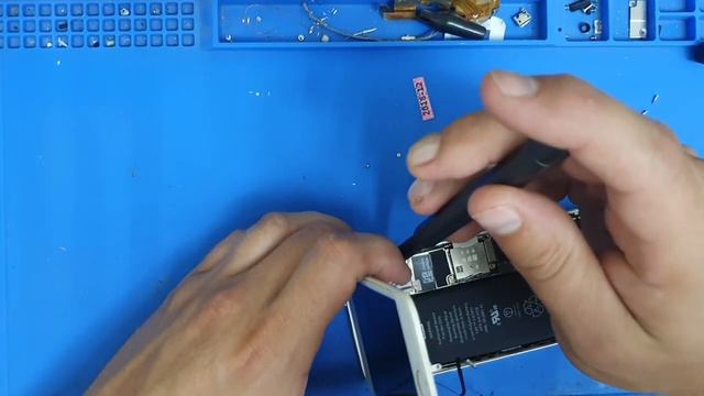 Apple_Iphone_5s_Замена_Динамика