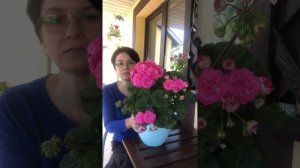 #86. Пеларгония Ю-Грушенька