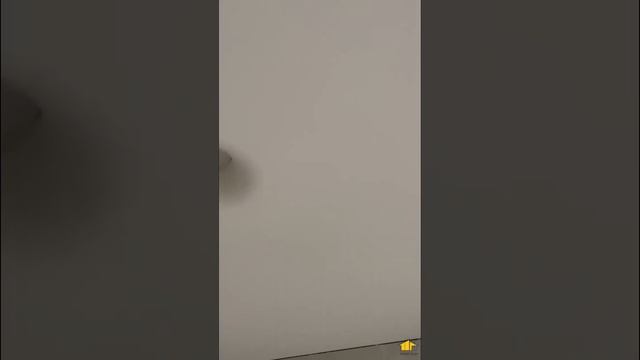 Светильники из гипса в гипсокартонном потолке смотреть онлайн