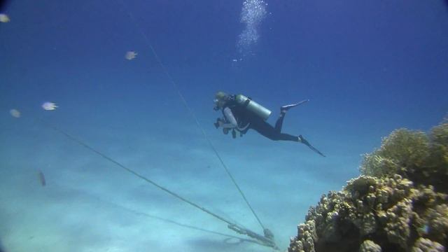 Diving Nakari смотреть онлайн