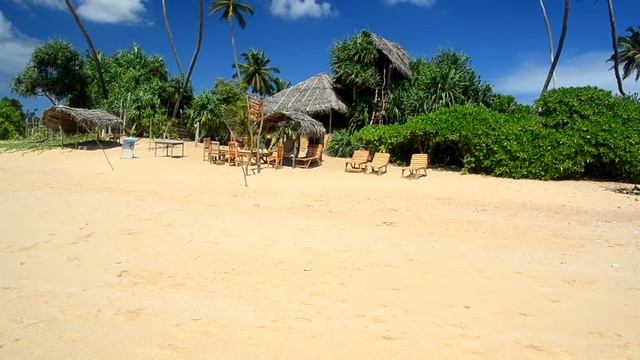 Прогулка по пляжу Tangalle Sri Lanka