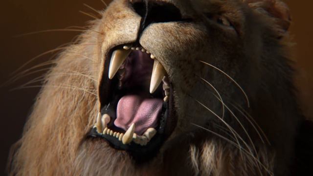 Lion. Разбуди в себе льва! смотреть онлайн