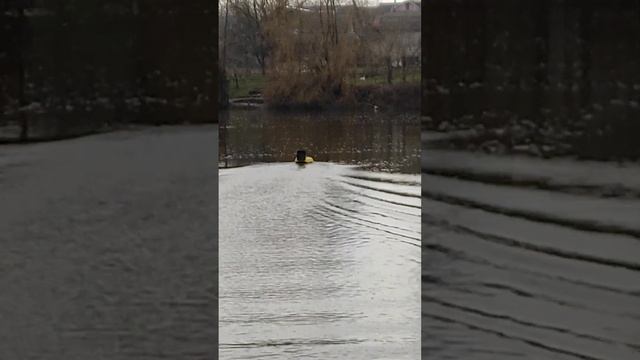 Кораблик для рыбалки ATOM MAXI с винтом в трубе и GPS TWIN смотреть онлайн