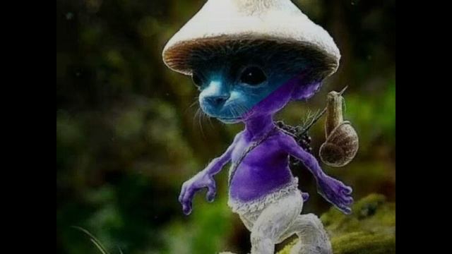 ebanat508 - Шайлушай (дисс) смотреть онлайн