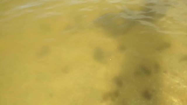 Кучугуры. Погода 21.07.2018 Азовское море от Александры смотреть онлайн