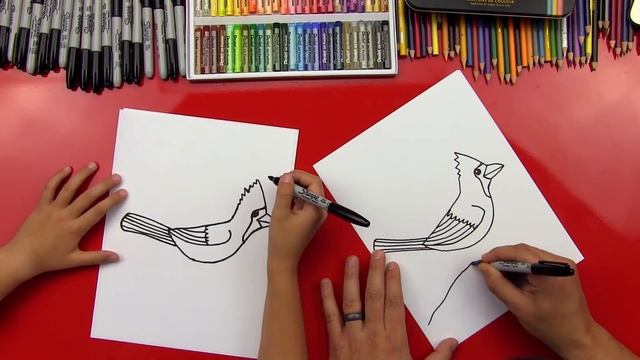 How To Draw A Cardinal смотреть онлайн