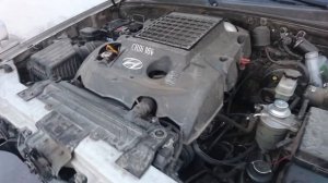 Hyundai Terracan  мех тнвд.