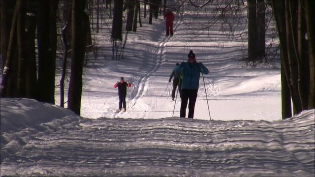 Nordic Skiing Technique