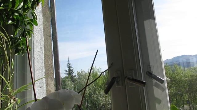 Чёрно -белые сны... смотреть онлайн