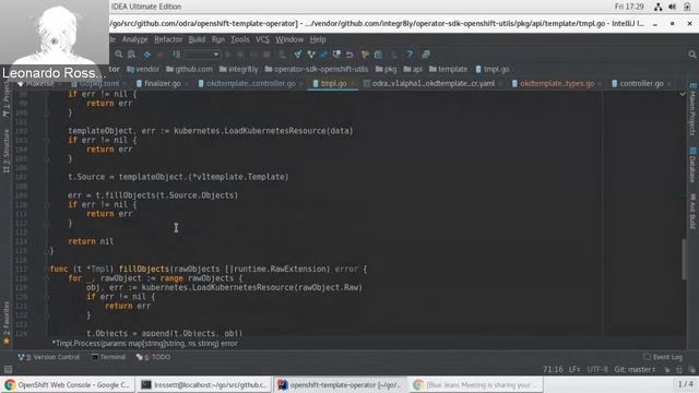 OpenShift Commons Operator Framework SIG Mtg Full 2019 Feb 15 смотреть онлайн