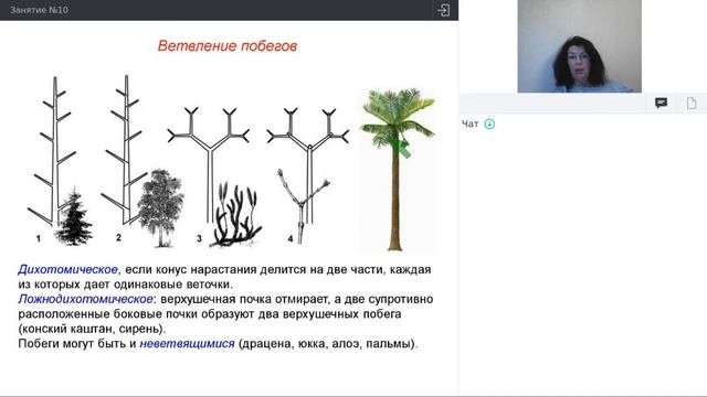 Онлайн-школа СПбГУ 2021/2022. 7 класс. Биология. 11.12.2021 смотреть онлайн