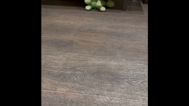 01-07-2024 смотреть онлайн