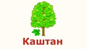 Изучаем деревья с ребенком в картинках. Виды деревьев.