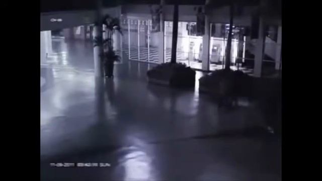 5 НЕОБЪЯСНИМЫХ СУЩЕСТВ, СНЯТЫХ на ВИДЕО смотреть онлайн