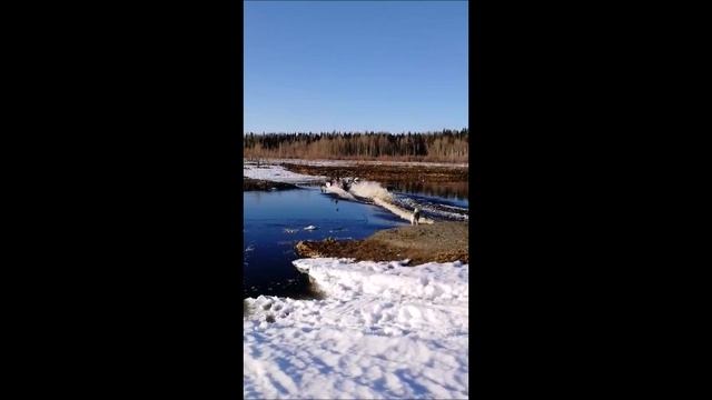 Перелетели на снежеке через... смотреть онлайн