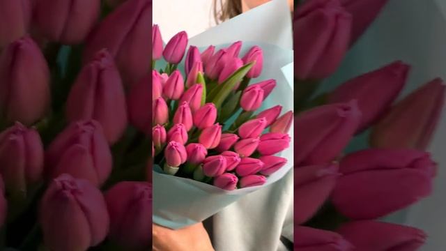 31 бордовый тюльпан смотреть онлайн