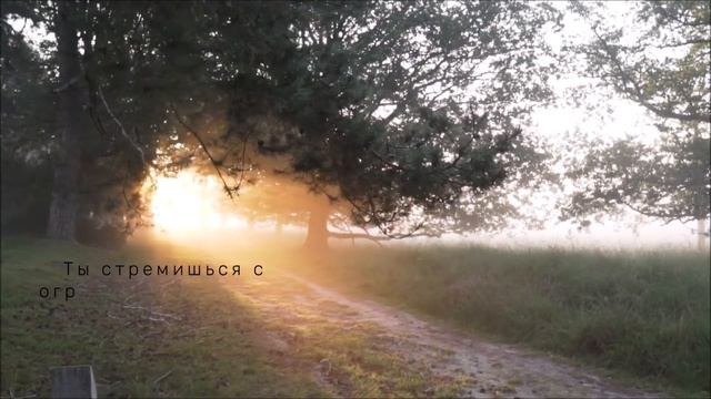 Красивое видео смотреть онлайн