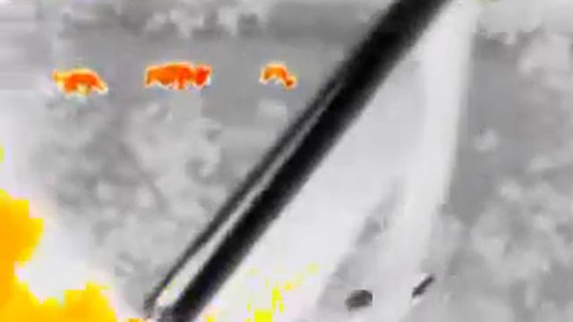 Flir Scout TK смотреть онлайн