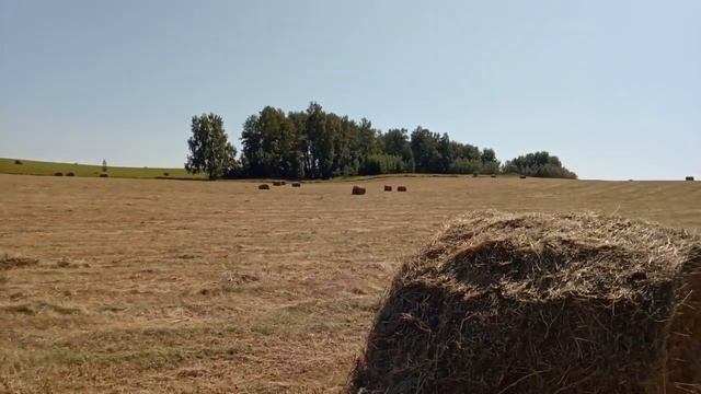 Прессподборшик КЛААС 44 и ПРФ смотреть онлайн