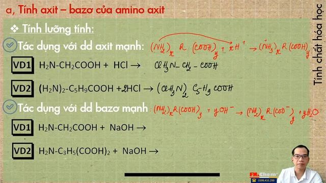 [H12][C3] LÝ THUYẾT AMINO AXIT смотреть онлайн