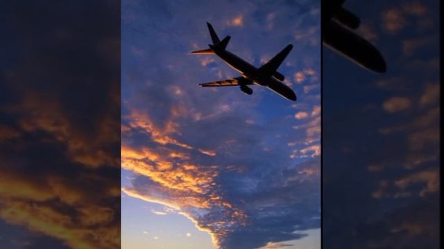 соберись в летний лагерь смотреть онлайн