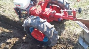 Мотоблок МТЗ пашет самодельным оборотным плугом.