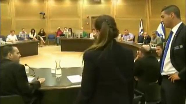 Haneen Zoabi comisia pentru flotila Gaza смотреть онлайн