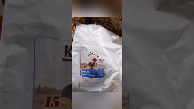 Чем кормить Русско-Пегую Гончую и Западно-Сибирскую лайку. смотреть онлайн