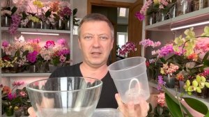 орхидеи после покупки КАКИЕ ПЕРЕСАЖИВАТЬ а какие НЕТ / обязательная пересадка орхидеи