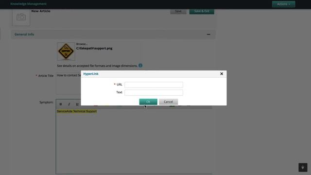 Using the Rich Text Editor to write Knowledge Articles смотреть онлайн