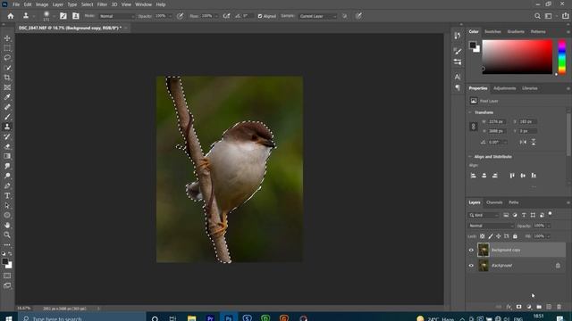 How to edit a bird photo for wildlife photography / Photoshop Tutorial / Photo Editing смотреть онлайн