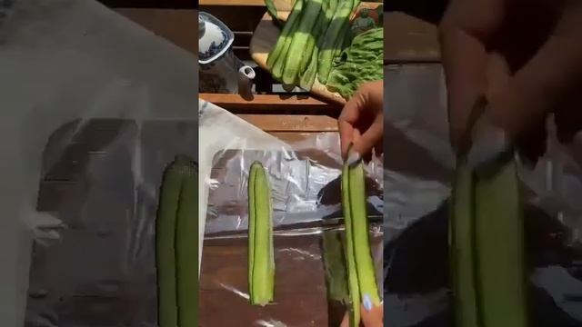 23 августа 2023 г.