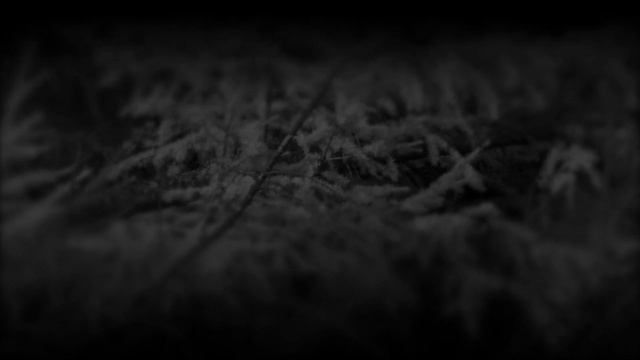 Transmutation Is Our Deity (Autumn Richardson & Richard Skelton) смотреть онлайн