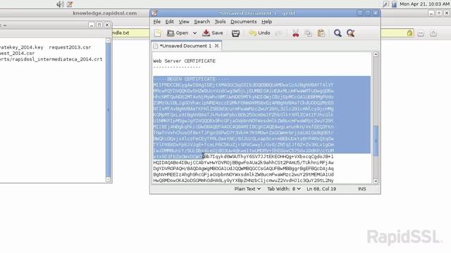 Install an SSL Certificate for Apache Servers смотреть онлайн